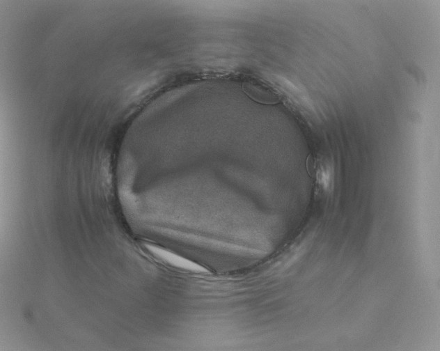 X0000115311252200911231322