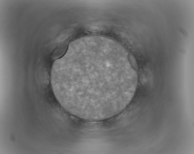 X0000115311253200911231322