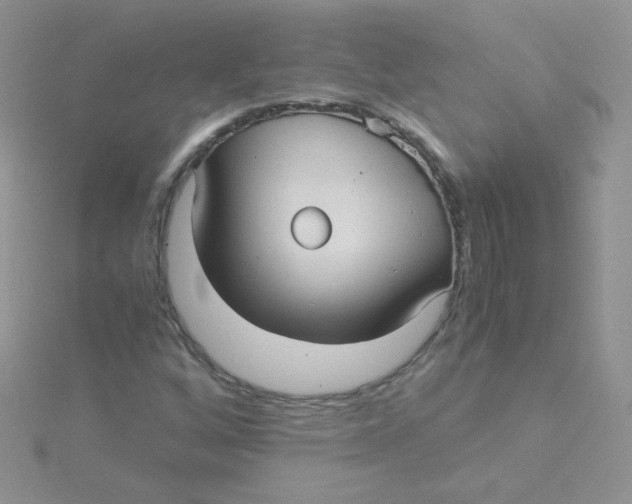 X0000115311256200911231322