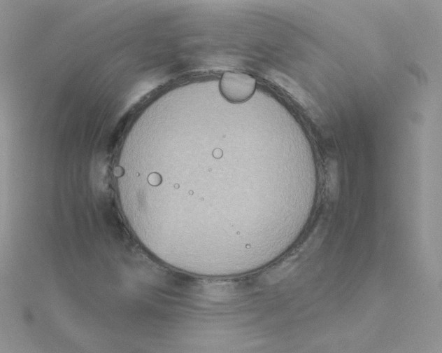 X0000115311258200911231322