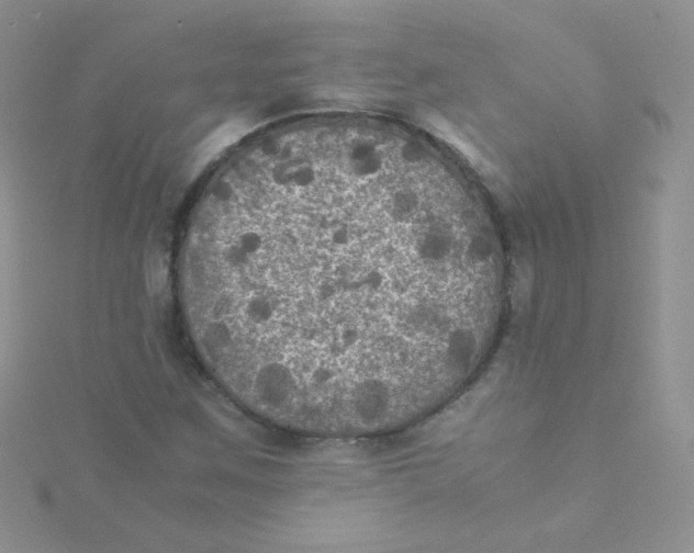 X0000115311259200911231322