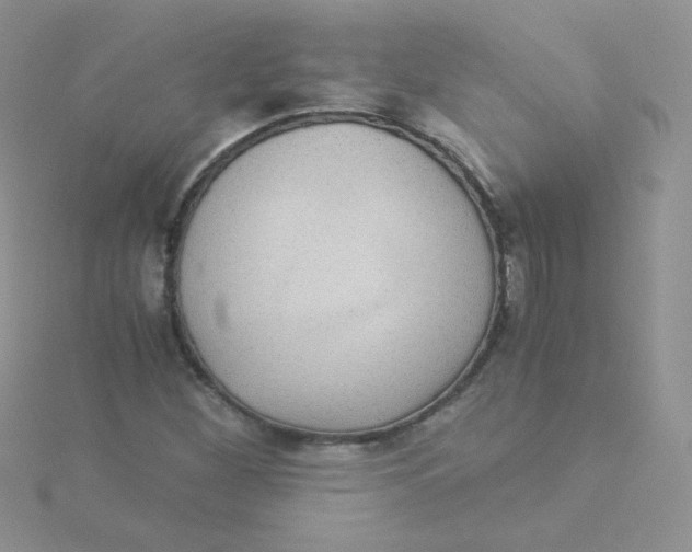 X0000115311260200911231322