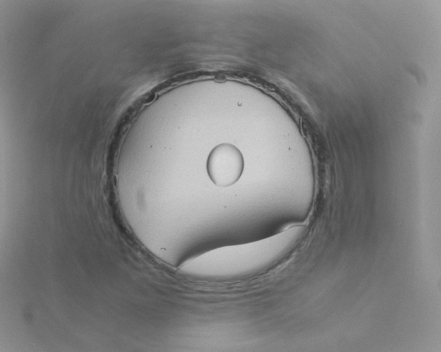 X0000115311261200911231322