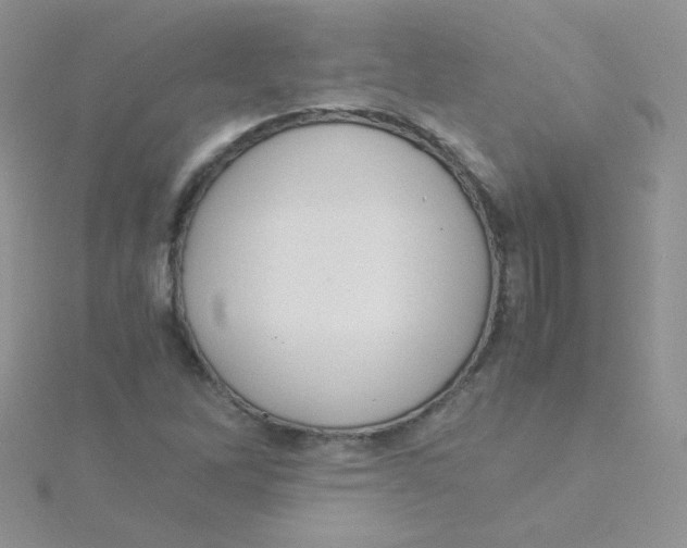 X0000115311262200911231322