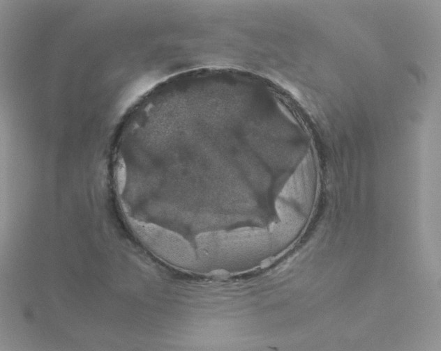 X0000115311263200911231322