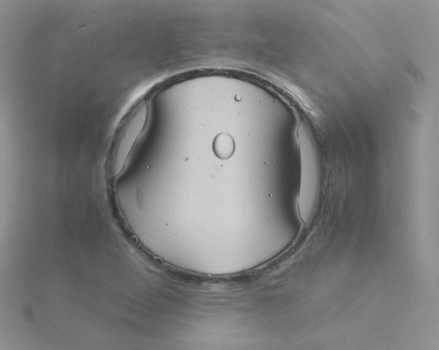 X0000115311264200911231322