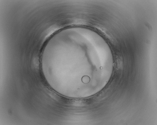 X0000115311266200911231322