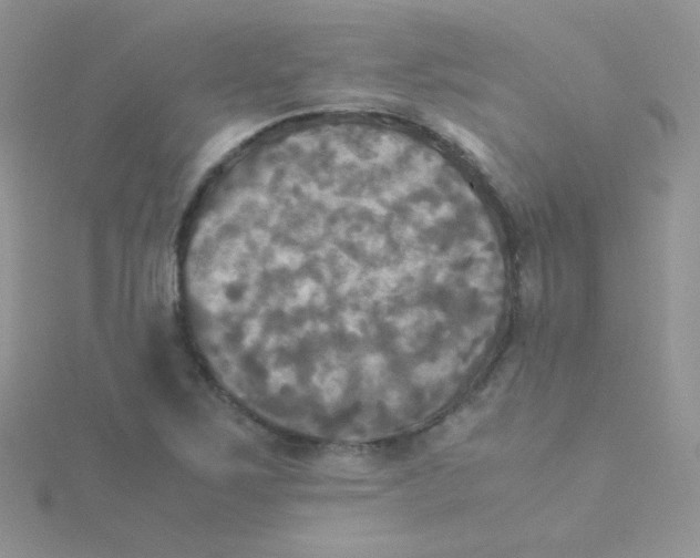 X0000115311267200911231322