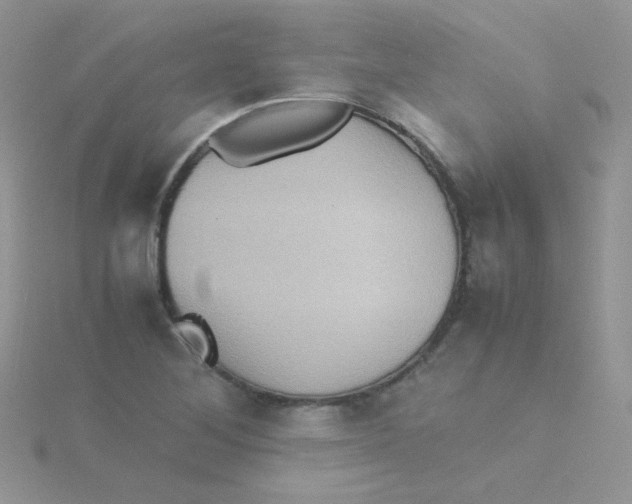 X0000115311268200911231322