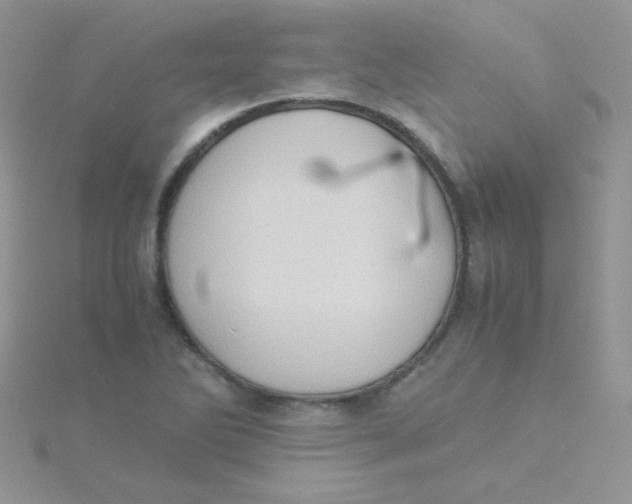 X0000115311270200911231322