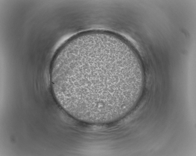 X0000115311271200911231322