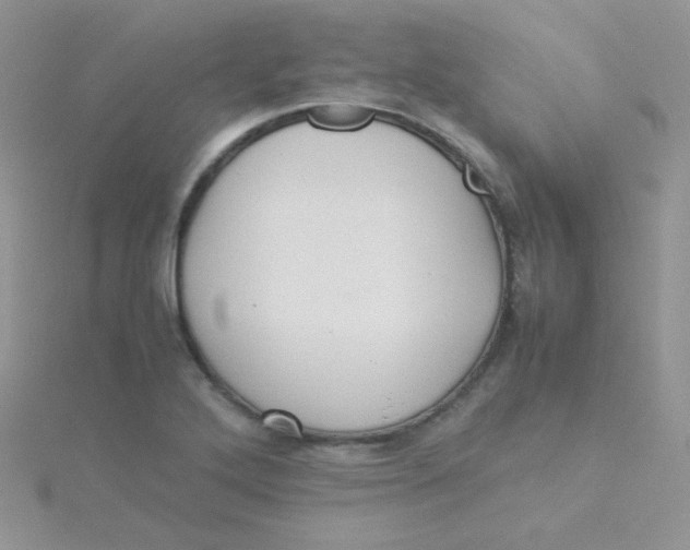 X0000115311272200911231322