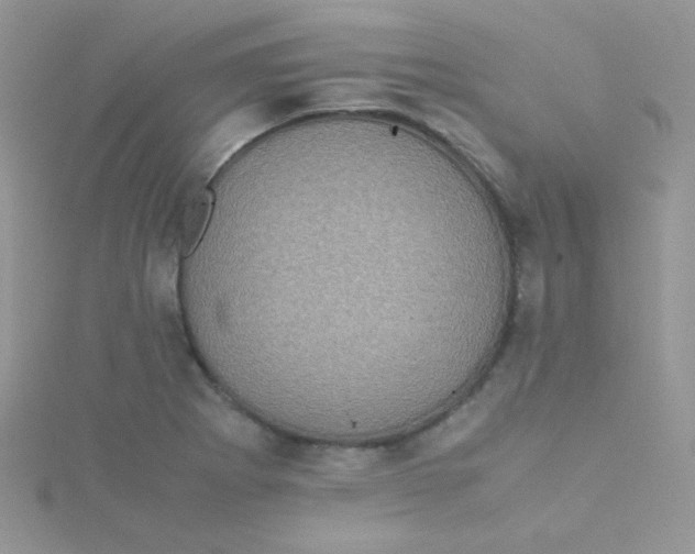 X0000115311273200911231322