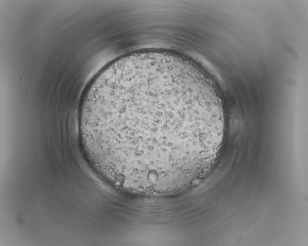 X0000115311274200911231322