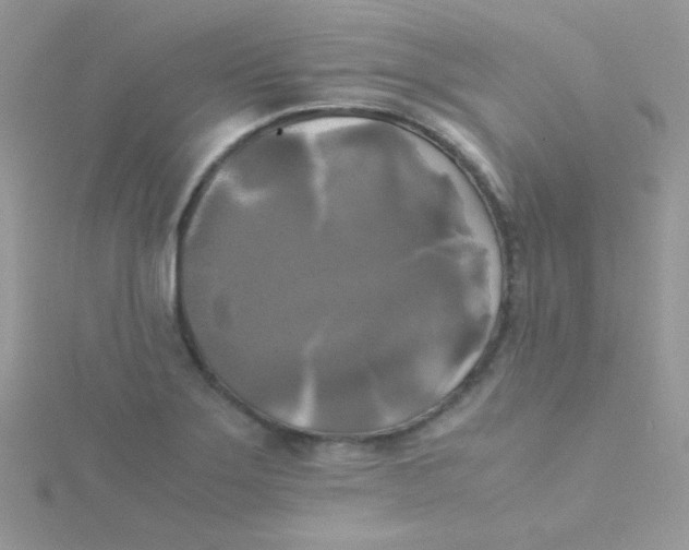 X0000115311275200911231322