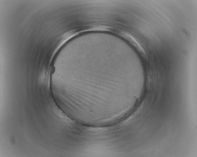 X0000115311276200911231322