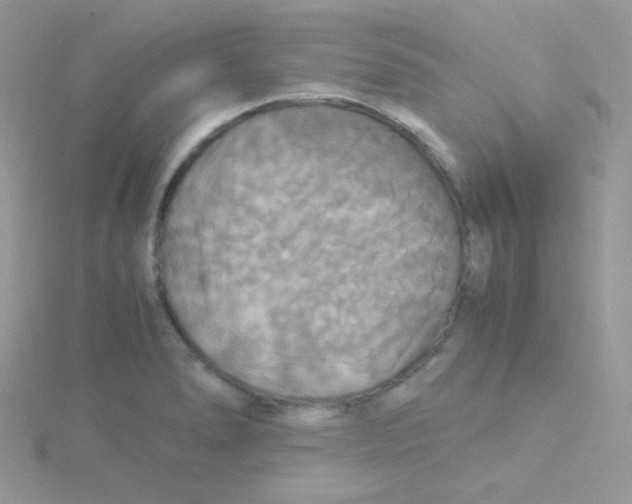 X0000115311278200911231322