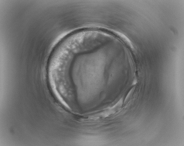 X0000115311279200911231322