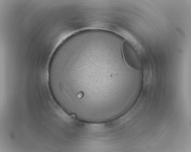 X0000115311280200911231322