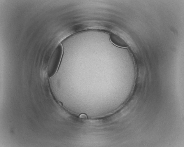 X0000115311281200911231322