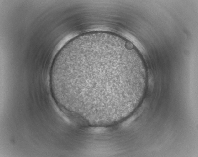 X0000115311282200911231322