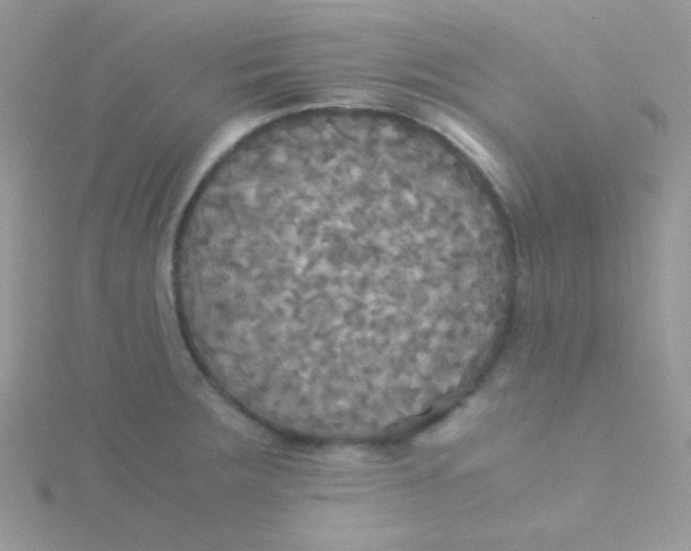 X0000115311283200911231322