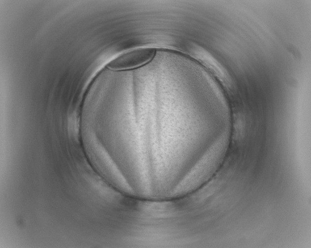 X0000115311284200911231322