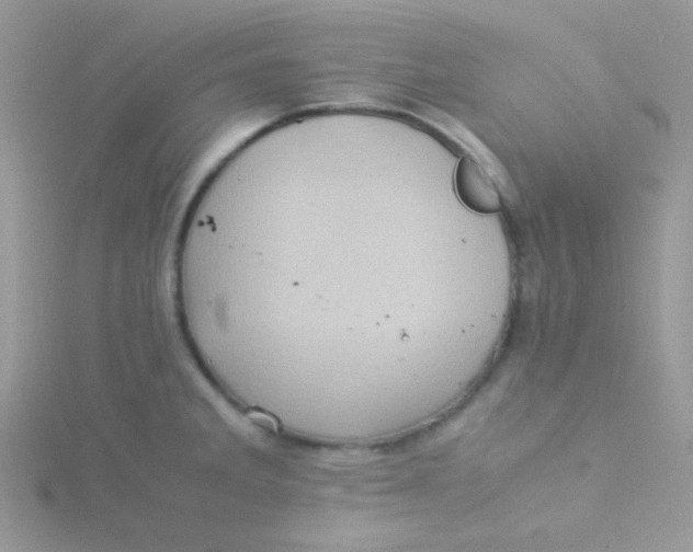 X0000115311285200911231322