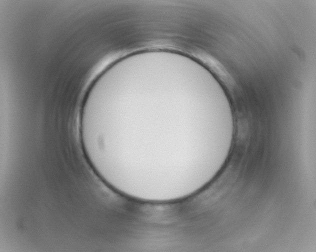 X0000115311286200911231322