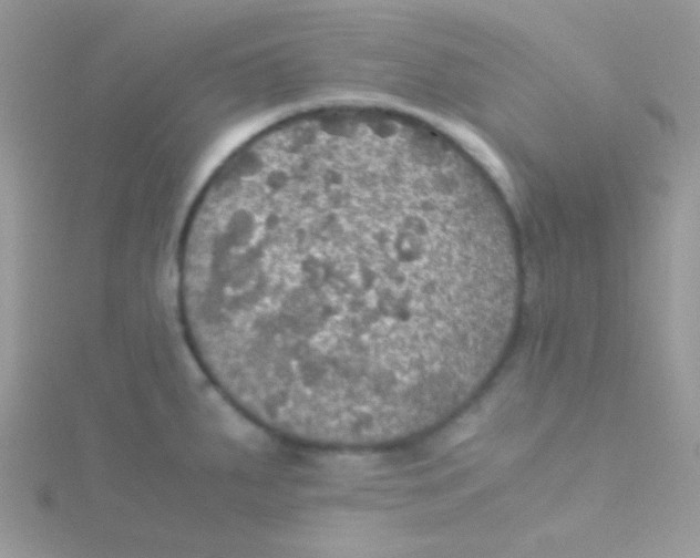 X0000115311287200911231322