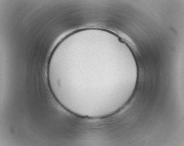 X0000115311288200911231322