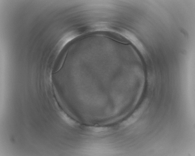 X0000115311289200911231322