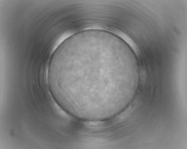 X0000115311290200911231322