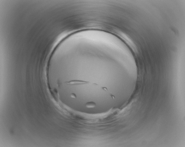 X0000115311291200911231322