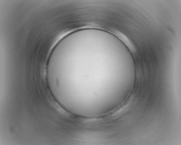 X0000115311292200911231322