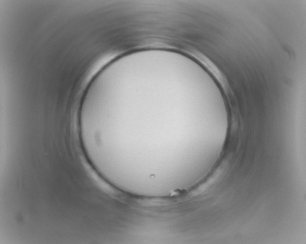 X0000115311293200911231322