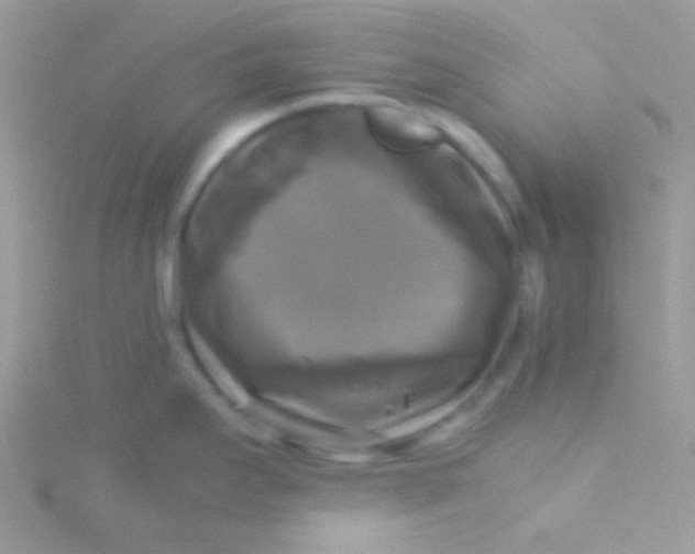 X0000115311295200911231322