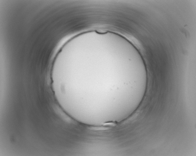 X0000115311296200911231322