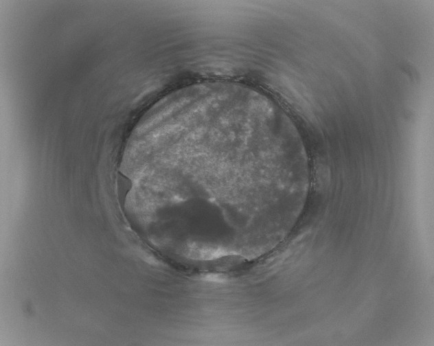 X0000115311297200911231321