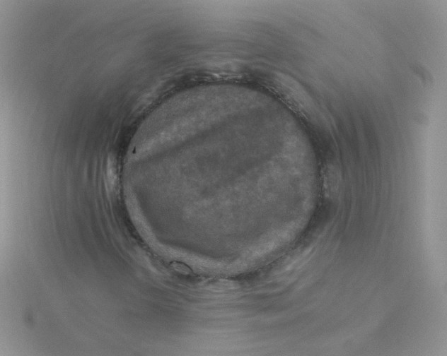 X0000115311298200911231321