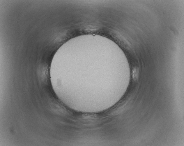 X0000115311299200911231321