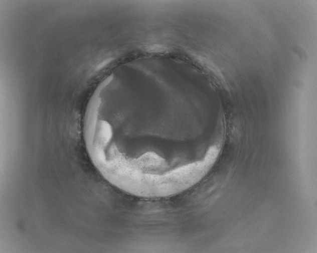 X0000115311301200911231321