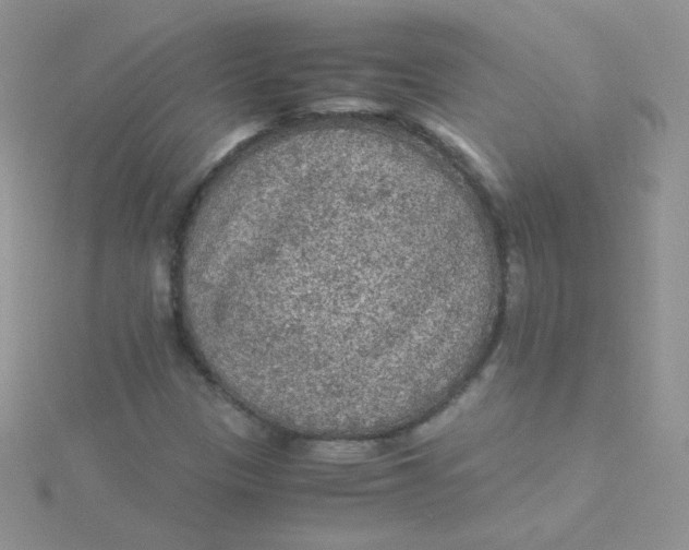 X0000115311305200911231321