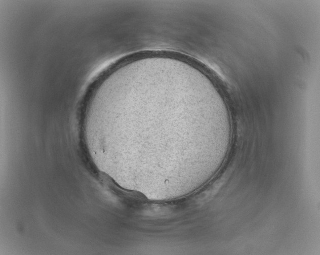 X0000115311311200911231321