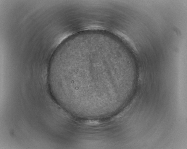 X0000115311313200911231321