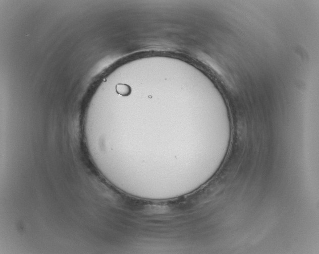 X0000115311315200911231321