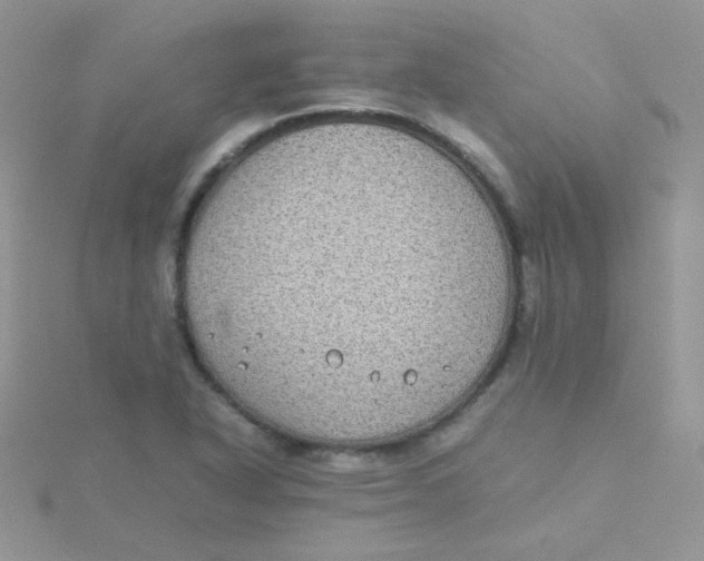 X0000115311318200911231321