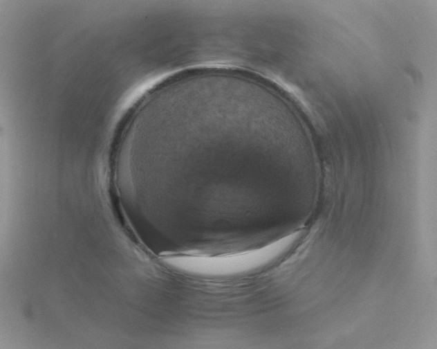 X0000115311319200911231321