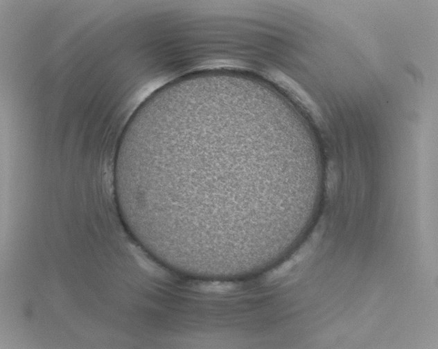 X0000115311321200911231321