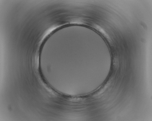 X0000115311323200911231321